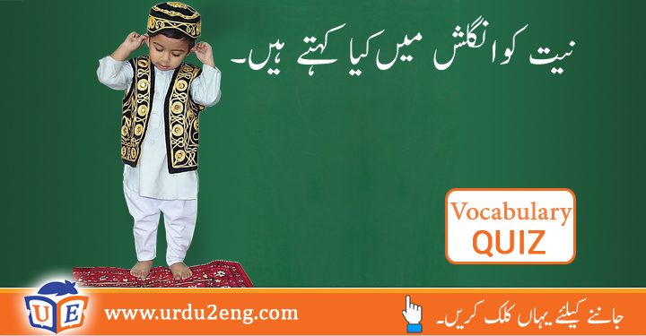 Beat Urdu Meaning