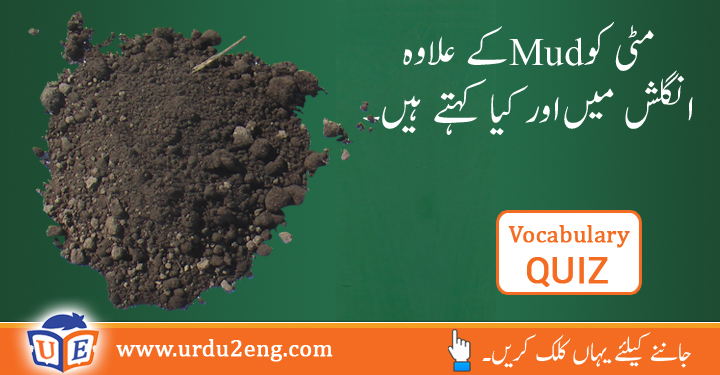 Turpentine Urdu Meanings