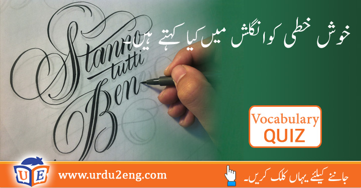 Fowl Urdu Meanings