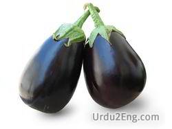 Brinjal Meaning