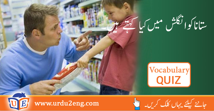 Maintain Meaning In Urdu Bruin Blog