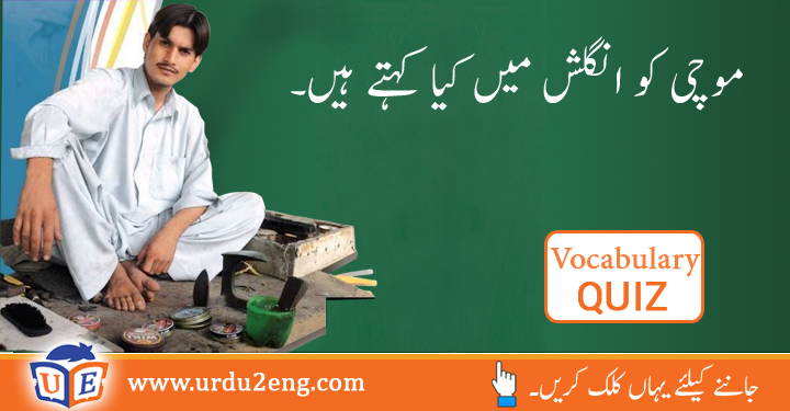 Kick The Bucket Meaning In Urdu, عوام: مرنا، ہوچکنا۔