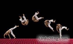 acrobat Urdu Meaning