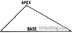 apex Urdu Meaning