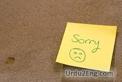 apology Urdu Meaning