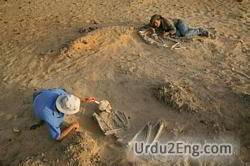 archaeologist Urdu Meaning