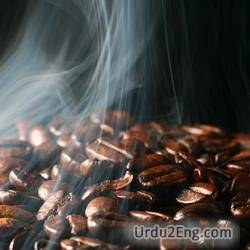 aroma Urdu Meaning