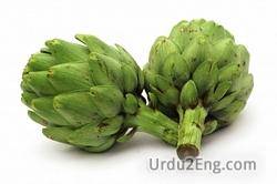 artichoke Urdu Meaning