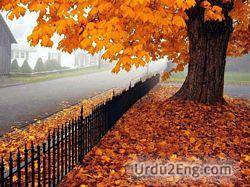 autumn Urdu Meaning