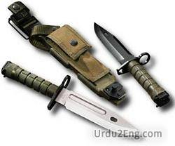 bayonet Urdu Meaning