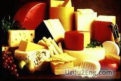 cheese Urdu Meaning