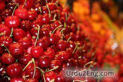 cherry Urdu Meaning