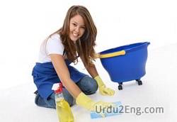 cleanup Urdu Meaning