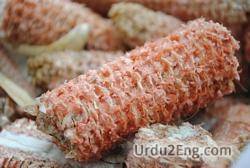 corncob Urdu Meaning