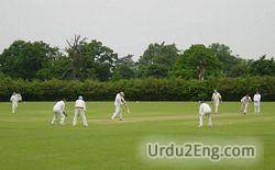 cricket Urdu Meaning