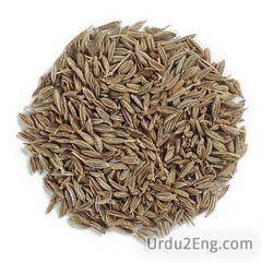 cumin Urdu Meaning