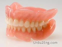 denture Urdu Meaning