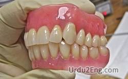 denture Urdu Meaning