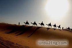 desert Urdu Meaning