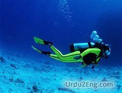 diver Urdu Meaning