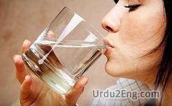 drinking Urdu Meaning