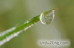 droplet Urdu Meaning