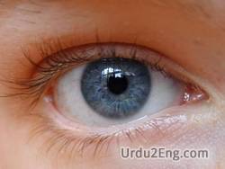 eye Urdu Meaning