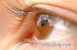 eye Urdu Meaning