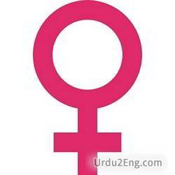 feminine Urdu Meaning