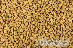 fenugreek Urdu Meaning