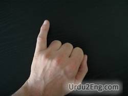 finger Urdu Meaning