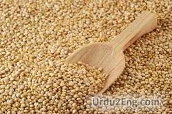 grain Urdu Meaning