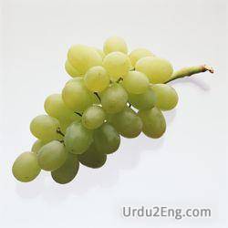 grape Urdu Meaning