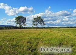 grassland Urdu Meaning