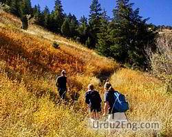 hiking Urdu Meaning