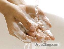 hygiene Urdu Meaning