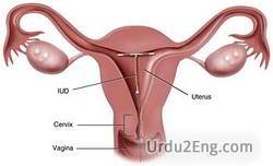 intrauterine Urdu Meaning