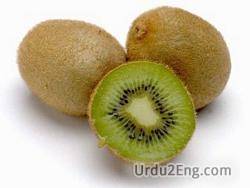 kiwi Urdu Meanings