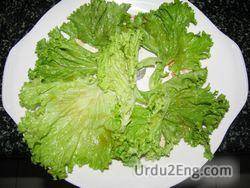 lettuce Urdu Meaning