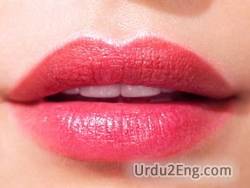 lip Urdu Meaning