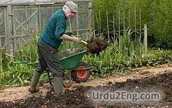 manure Urdu Meaning