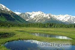 meadow Urdu Meaning