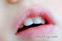 mouth Urdu Meanings