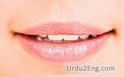 mouth Urdu Meaning