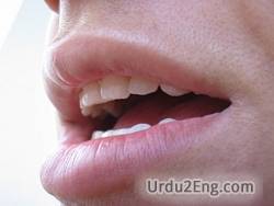 mouth Urdu Meaning