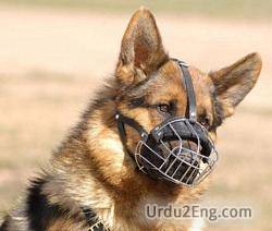 muzzle Urdu Meaning