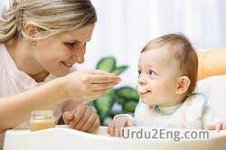 nanny Urdu Meaning