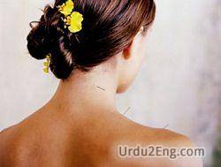 neck Urdu Meaning