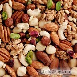 nut Urdu Meaning