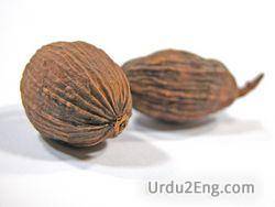 nutmeg Urdu Meaning